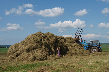 На полях Аликовского района продолжается заготовка кормов